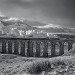 Ribble steam 4_1